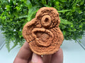 Moroccan Stromatolite Fossil Specimen: Raw Algae Stone for Grounding