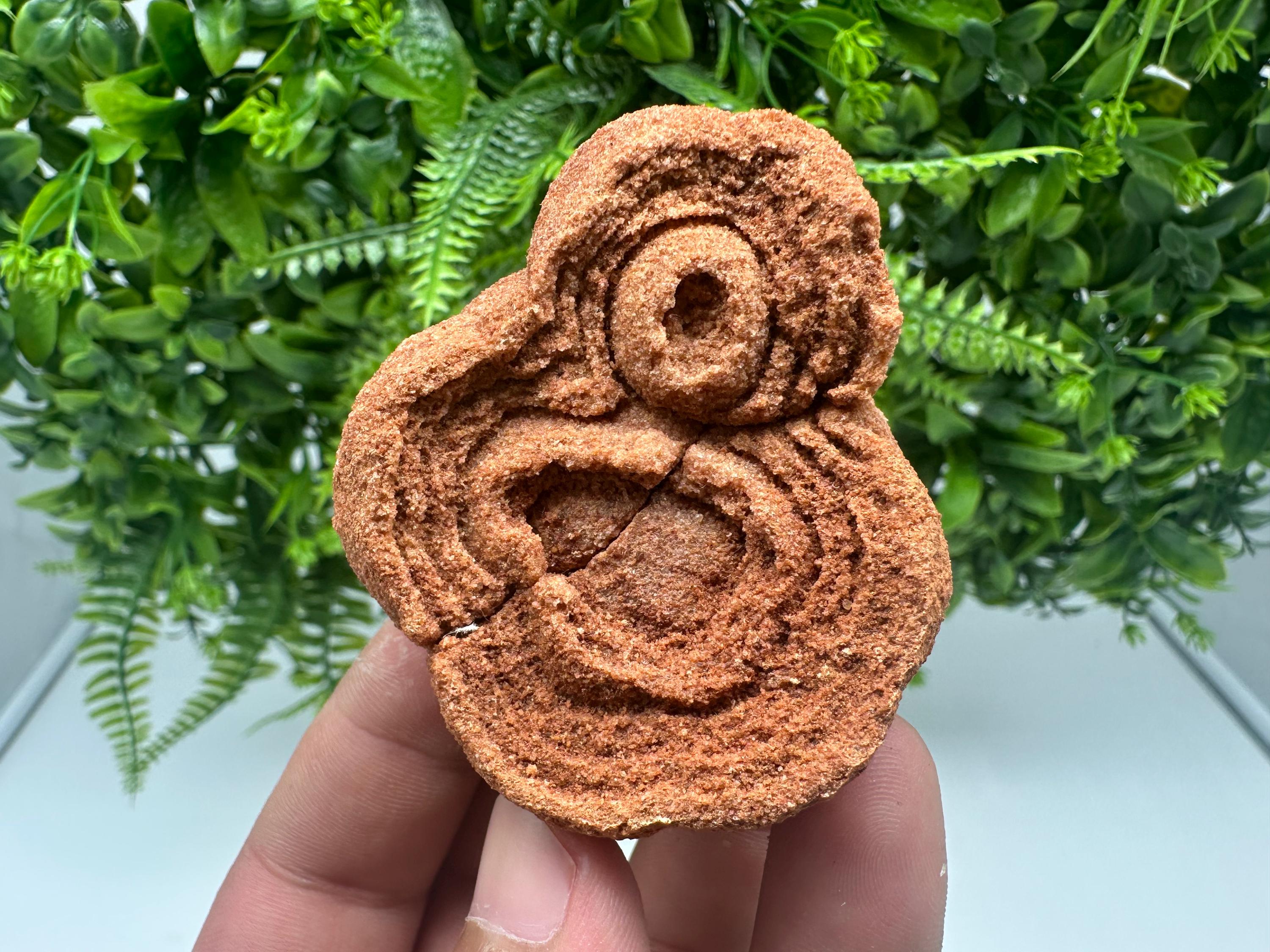Moroccan Stromatolite Fossil Specimen: Raw Algae Stone for Grounding