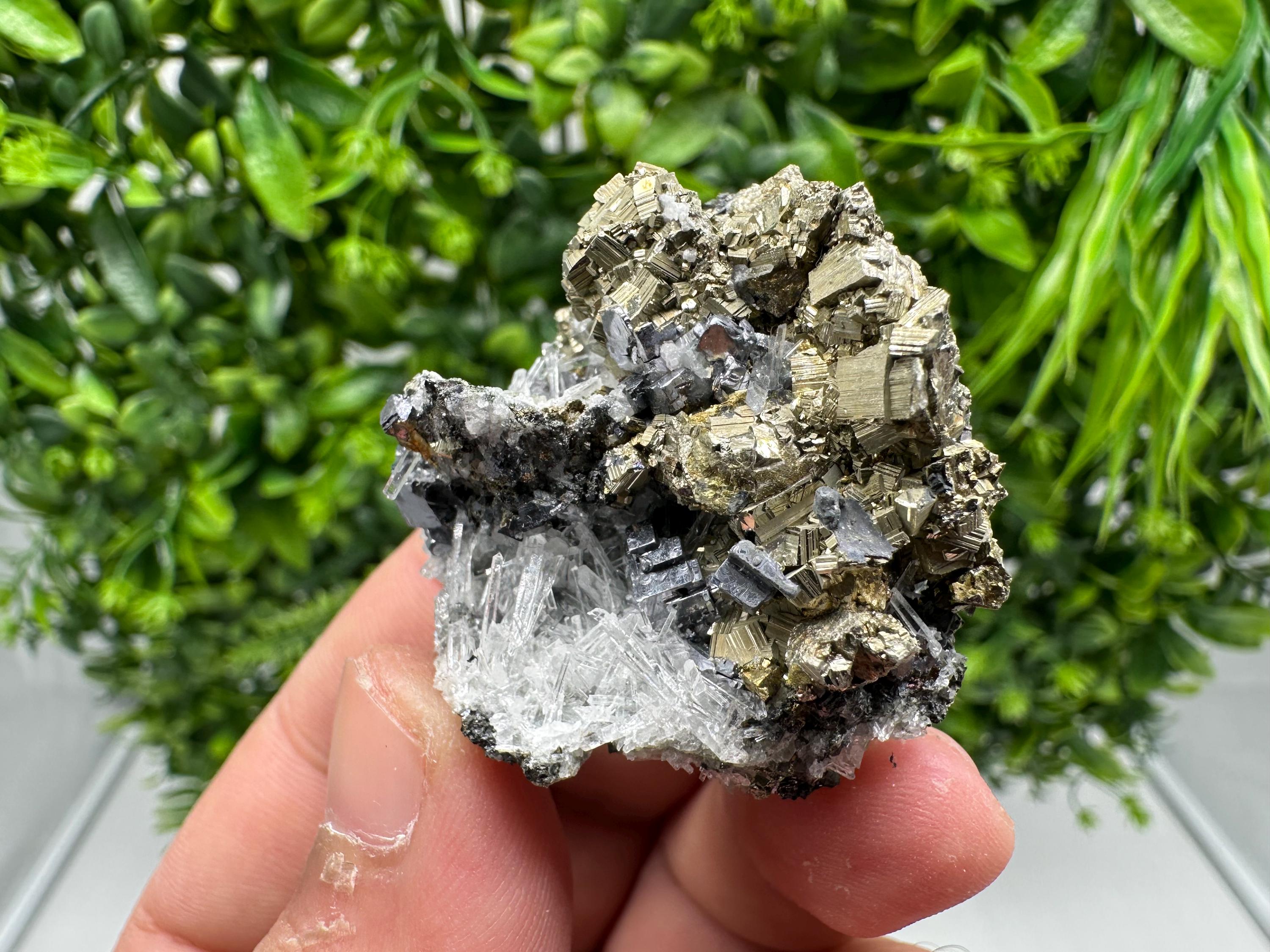 Rainbow Pyrite with Quartz: Natural Mineral Souvenir, Bulgaria