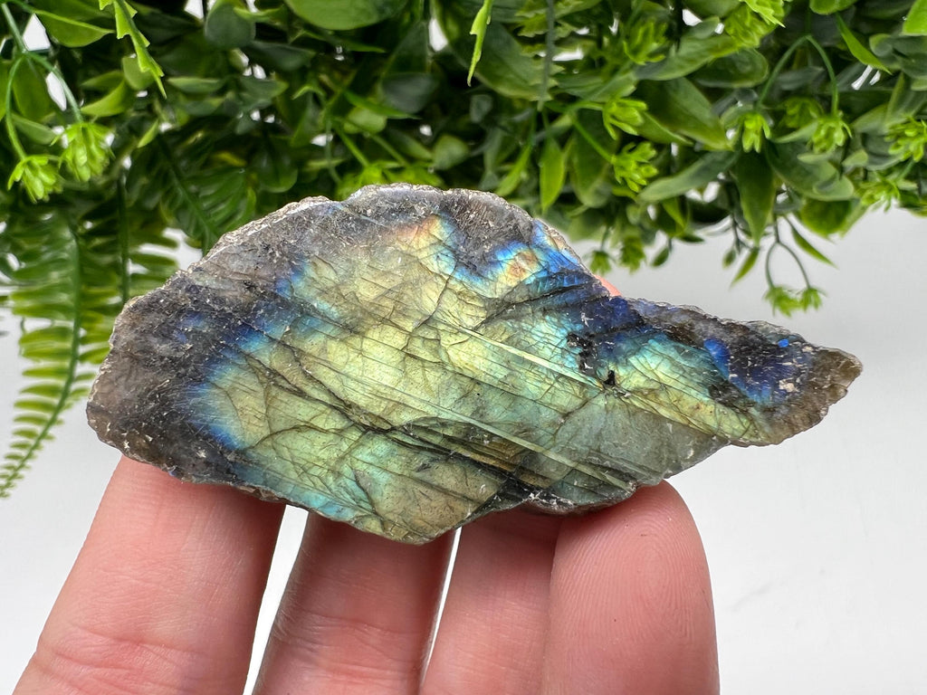 Polished Labradorite Slab: Multifire Crystal Decor - 7x3.5x1.5cm