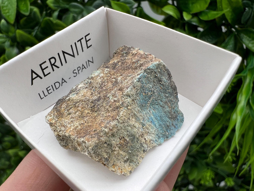 Rare Raw Aerinite Mineral Specimen: Collection Crystal from Lleida, Spain (3/2.5 CM)