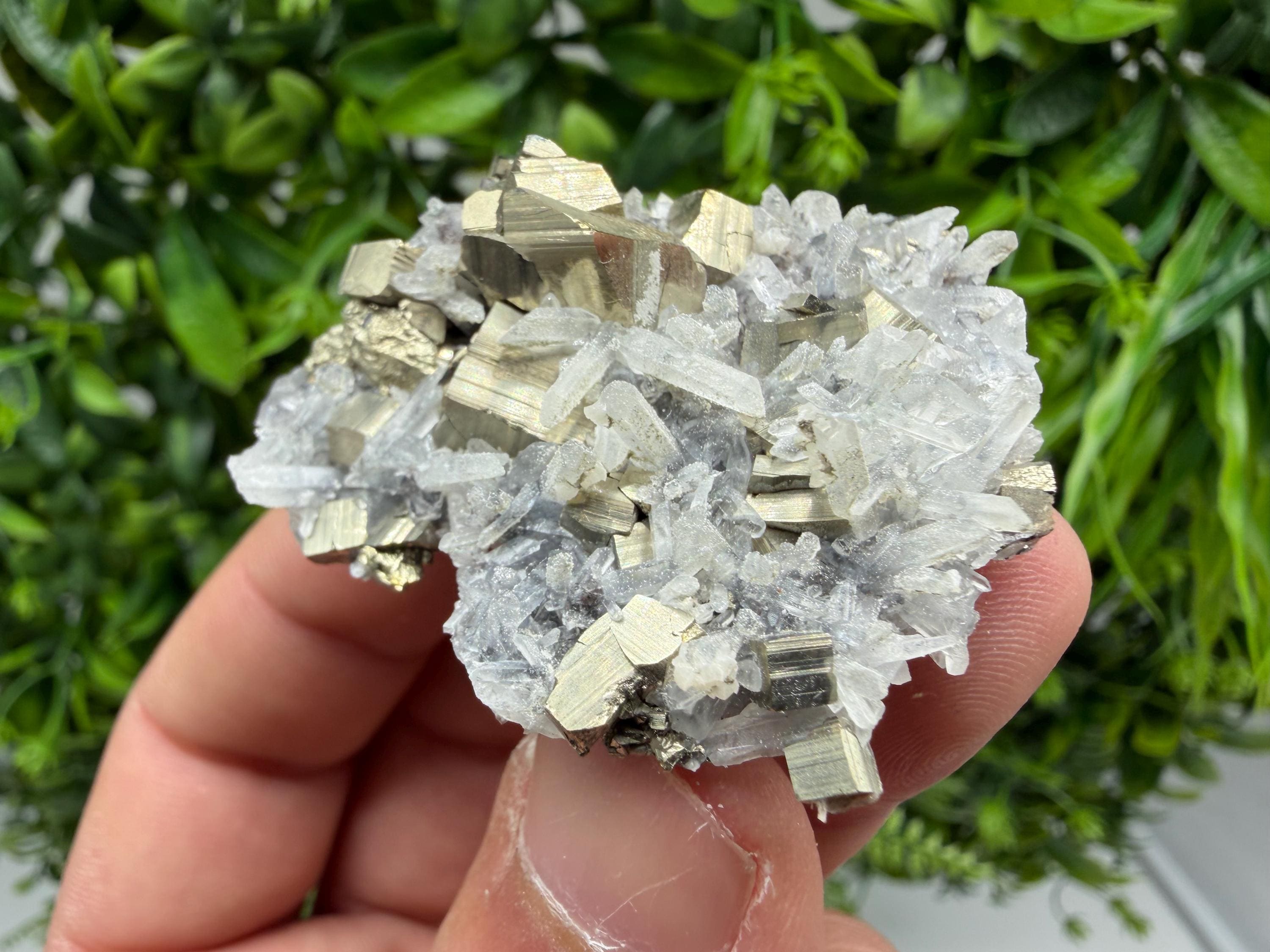 Pyrite Sphalerite Quartz  Mineral Specimen, Krushev dol Mine