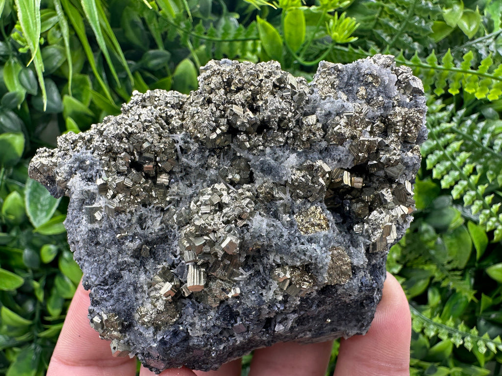 Pyrite on Quartz: Borieva Mine Crystal Decor (9/7/4.5cm)