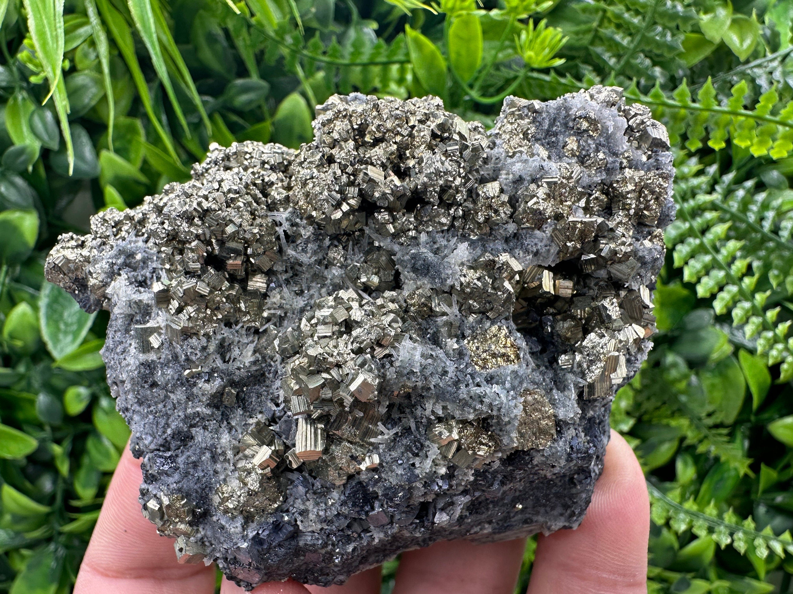 Pyrite on Quartz: Borieva Mine Crystal Decor (9/7/4.5cm)
