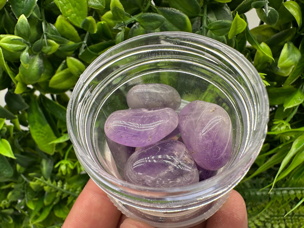 Amethyst Tumbled Stones: Healing Crystals, Zodiac Gems
