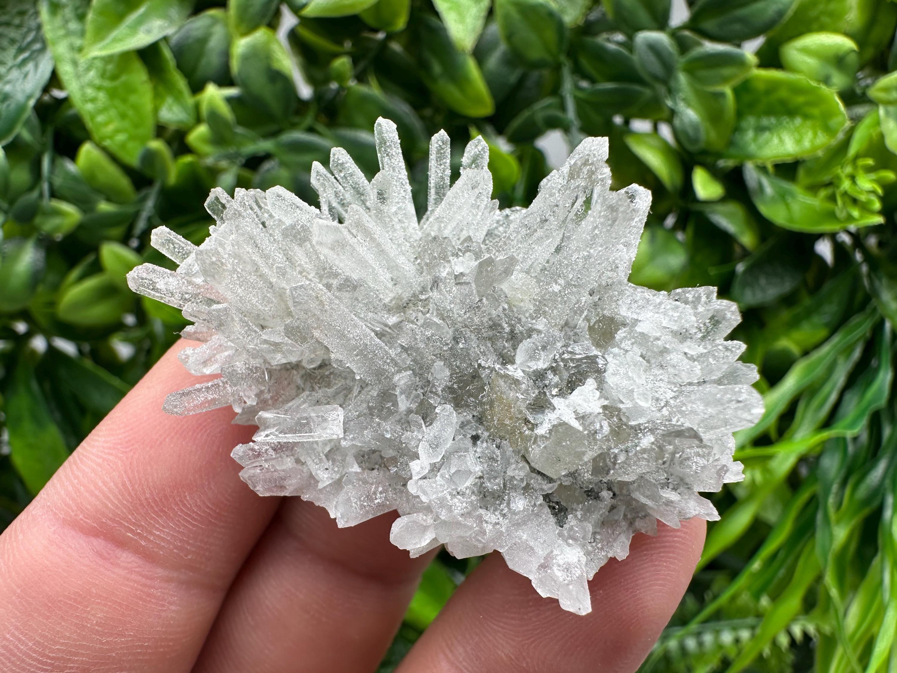 Transparent Quartz on Chlorite Matrix, Borieva Mine, Bulgaria