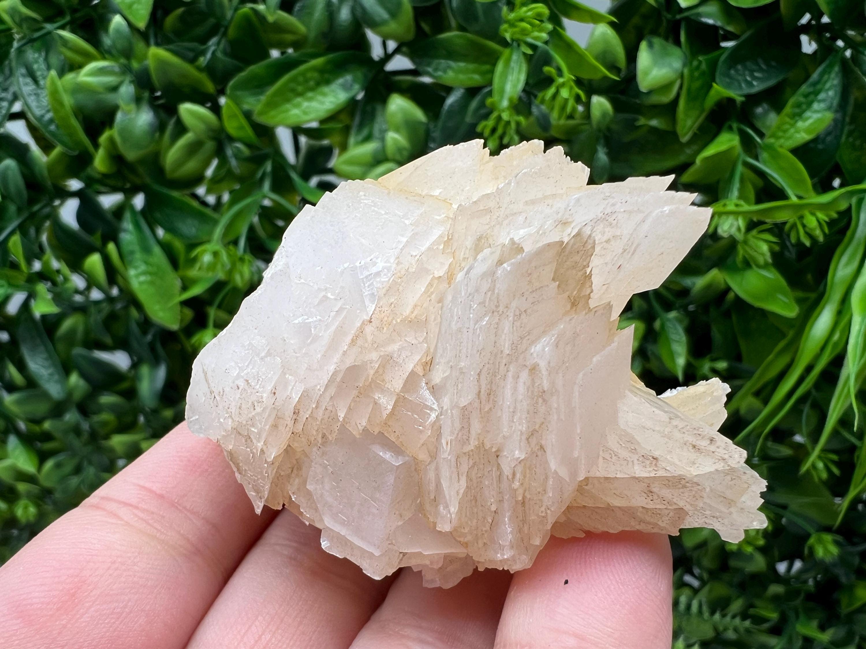 Calcite & Chlorite Crystal: Borieva Mine, Bulgaria