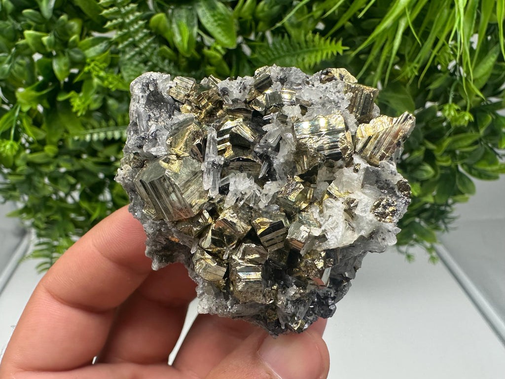 Transparent Quartz whit Rainbow Pyrite Djurcovo Laki Bulgaria natural minerals souvenir crystal stone gift minerals collection rock