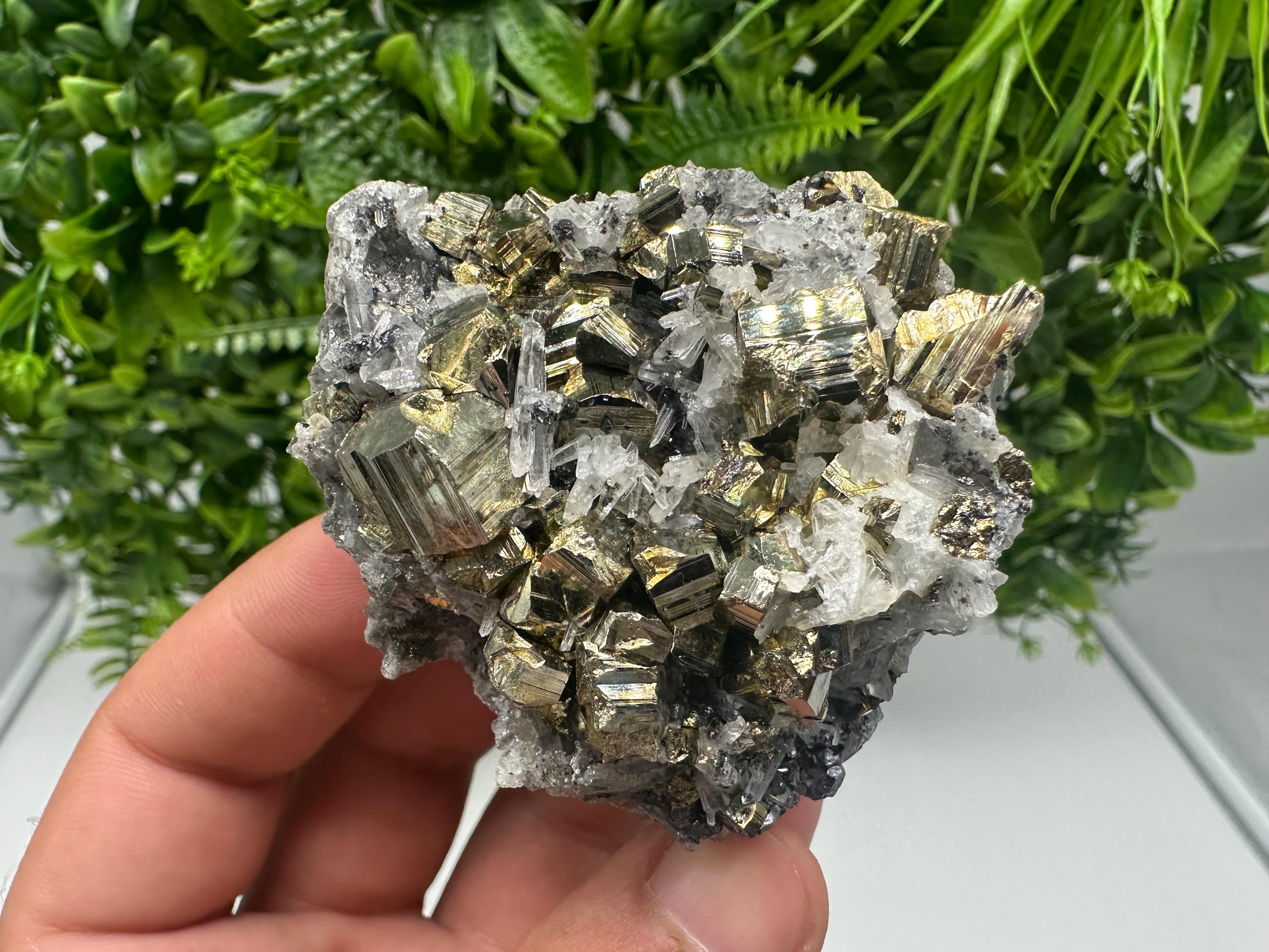 Transparent Quartz whit Rainbow Pyrite Djurcovo Laki Bulgaria natural minerals souvenir crystal stone gift minerals collection rock