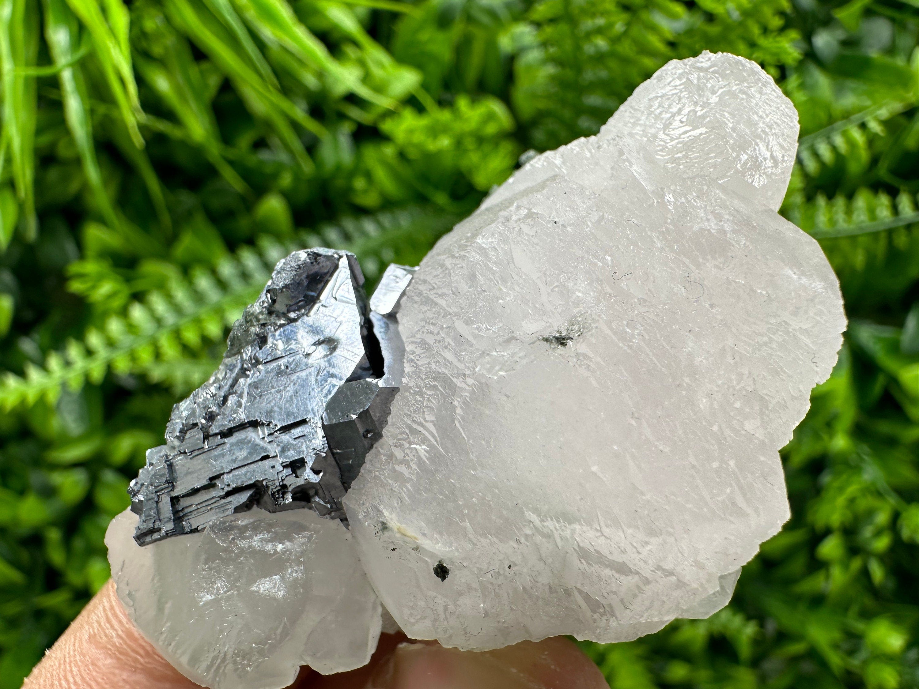 Fluorescent Calcite with Galena, Borieva Mine Crystal, Bulgaria
