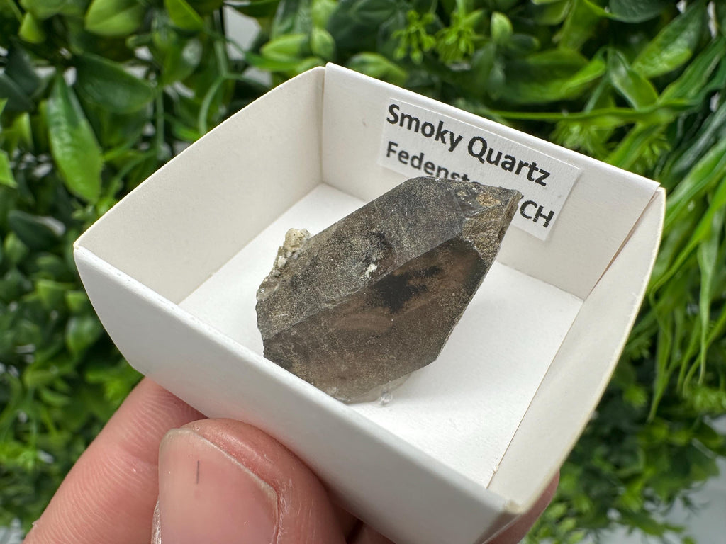 Rare Smoky Quartz Point from Fedenstock Switzerland (35mm)