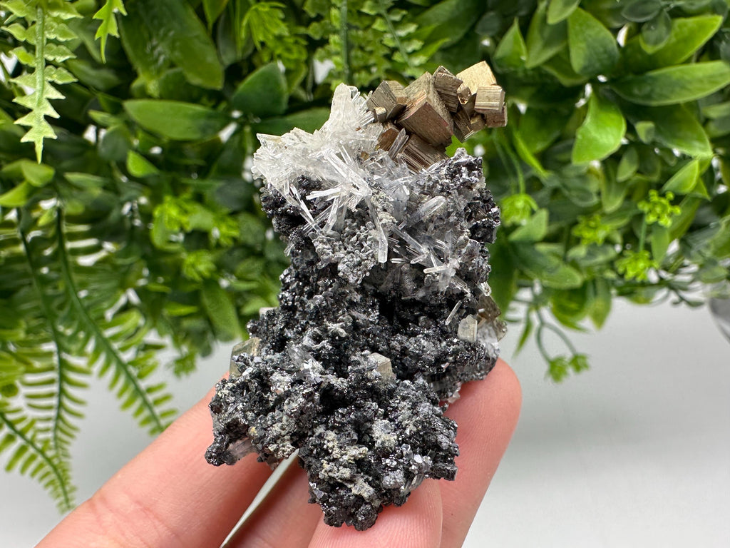 Pyrite on Green Quartz: Rare Crystal Mineral Specimen, Bulgaria