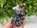 Pyrite on Green Quartz: Rare Crystal Mineral Specimen, Bulgaria