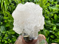Mangano Calcite Wing on Quartz with Pyrite, Madan Bulgaria Mineral Specimen