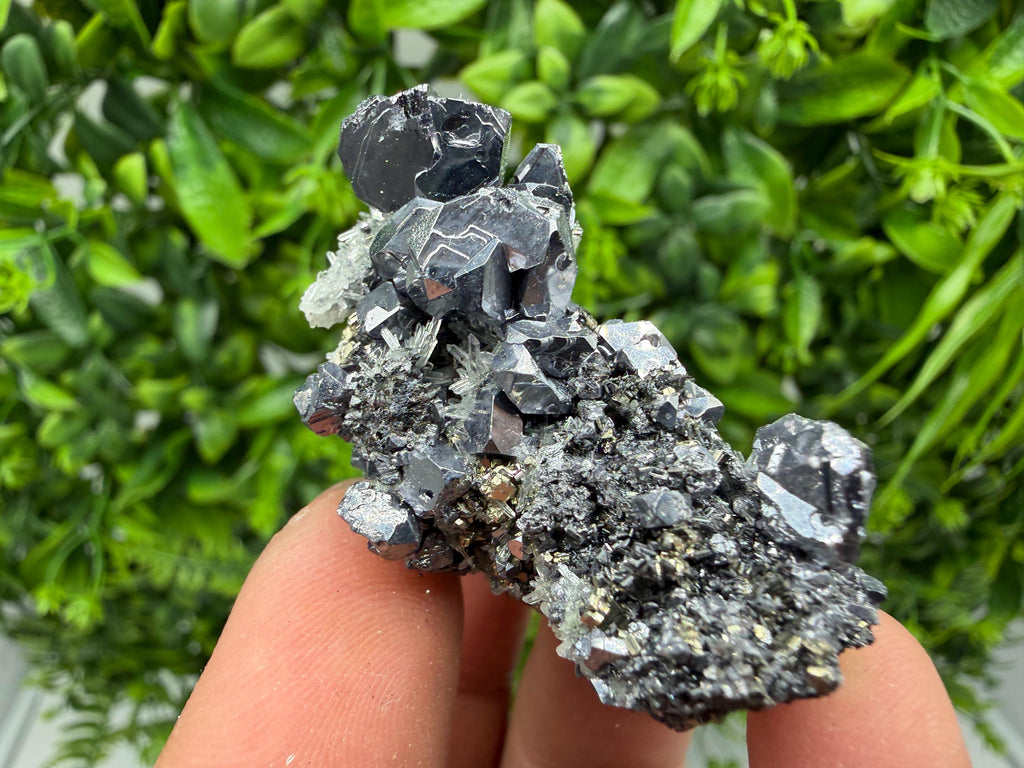 Shiny Galena Cluster, Borieva Mine, Madan Bulgaria