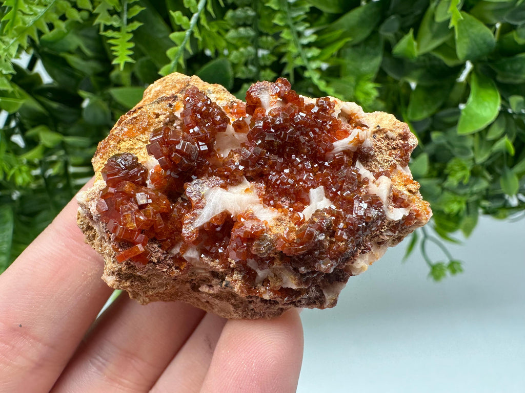 Red Vanadinite on Barite from Marocco,crystal minerals Speciment cluster Vanadinite crystal Vanadinite Geology Vanadinite cluster minerals