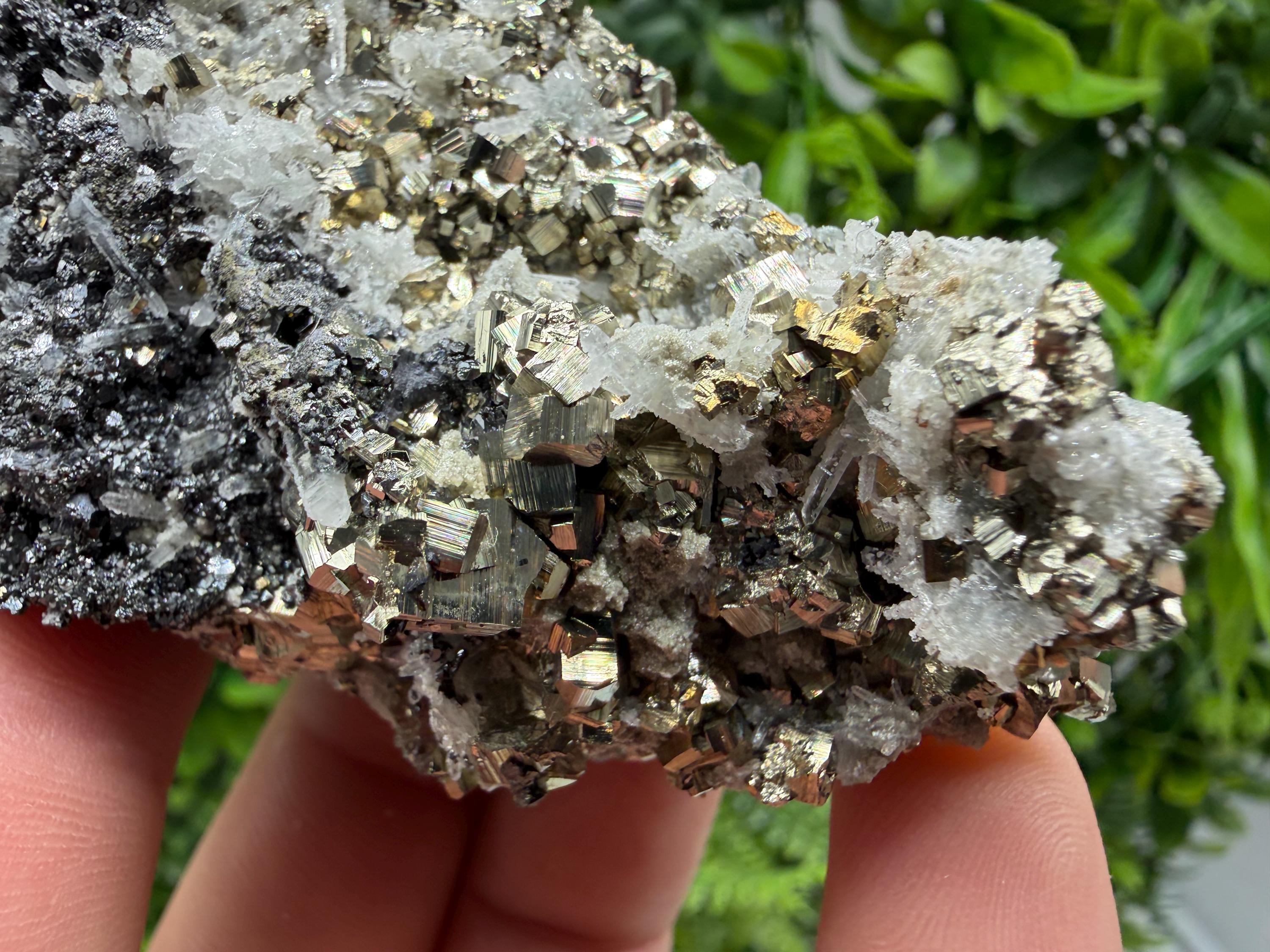 Pyrite Sphalerite Quartz  Mineral Specimen, Krushev dol Mine