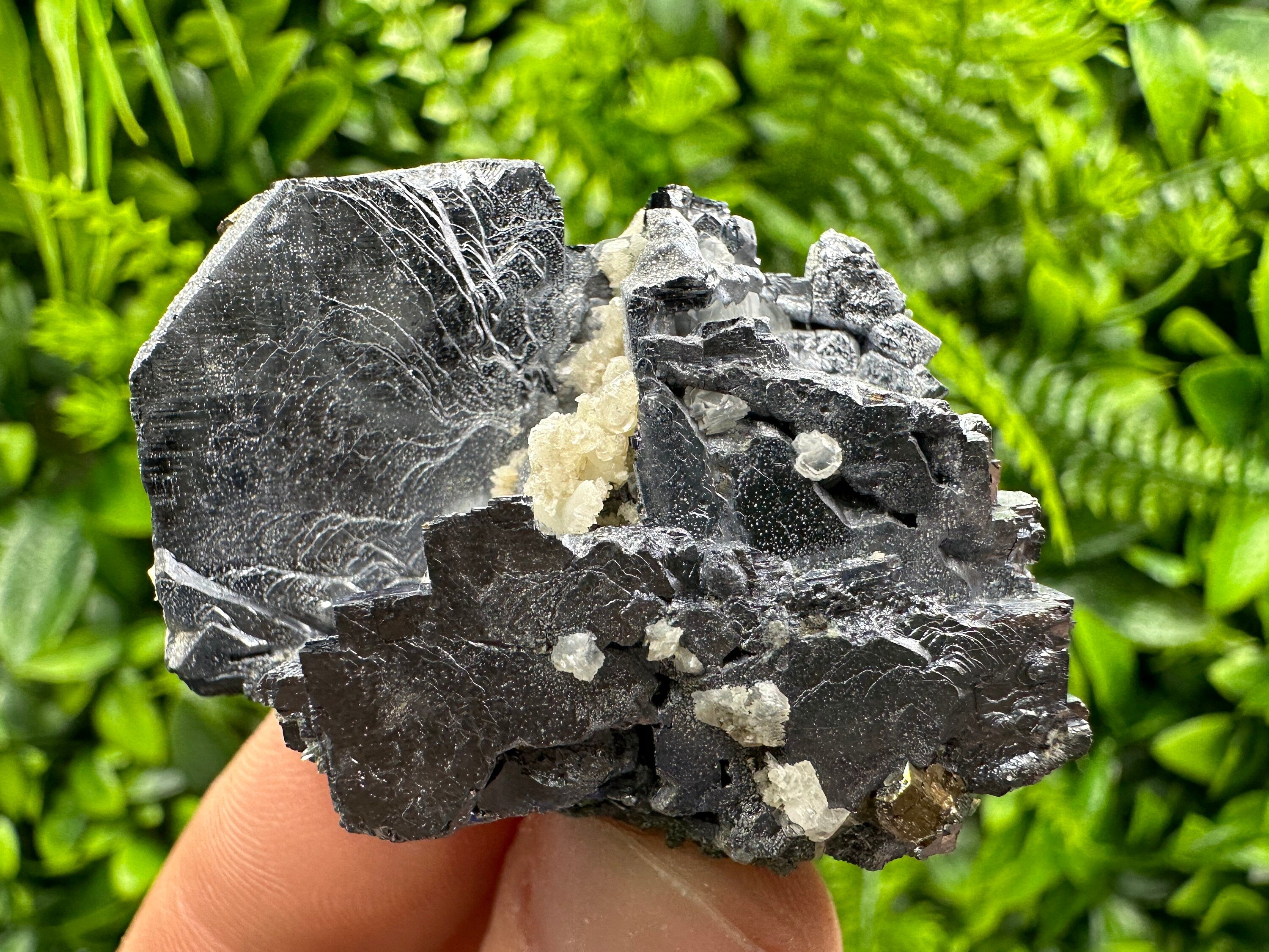 Galena Cluster: Shiny Mineral Stone from Borieva Mine, Bulgaria