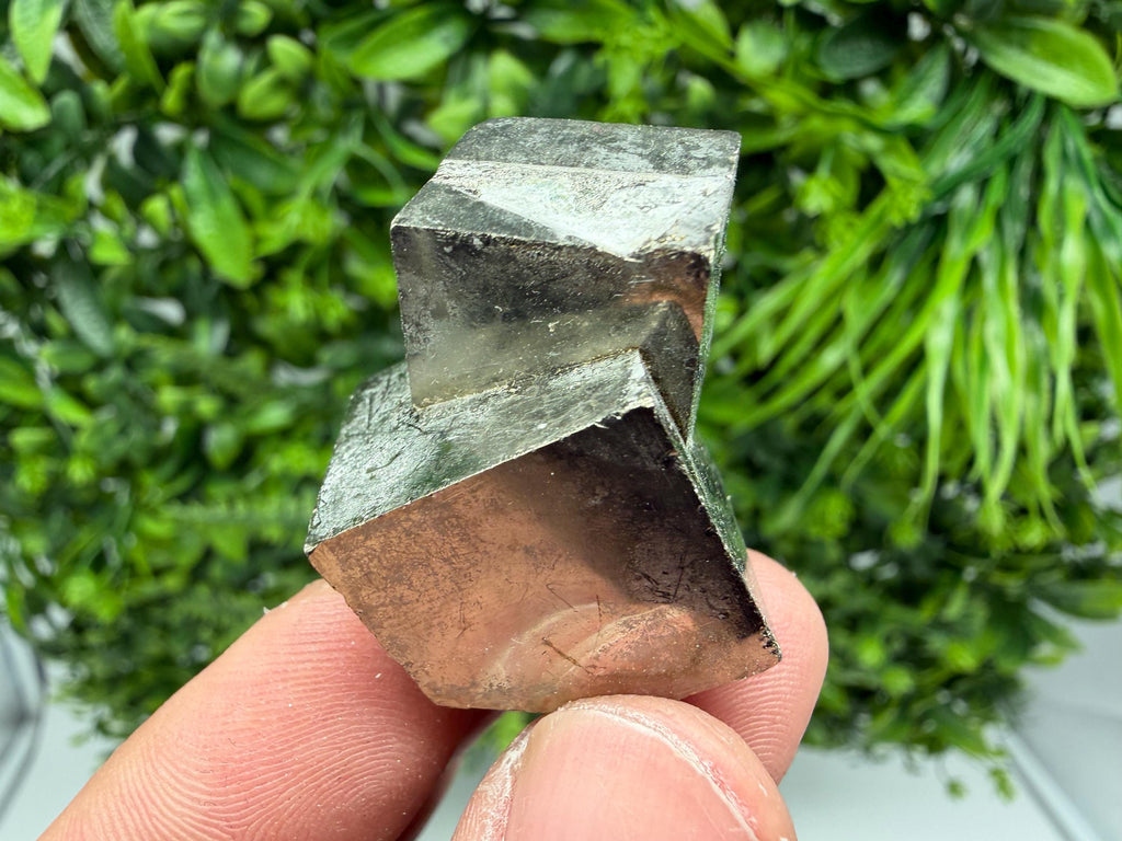 Interjoined Cube Pyrite, La Rioja Spain, Home Decor Stone