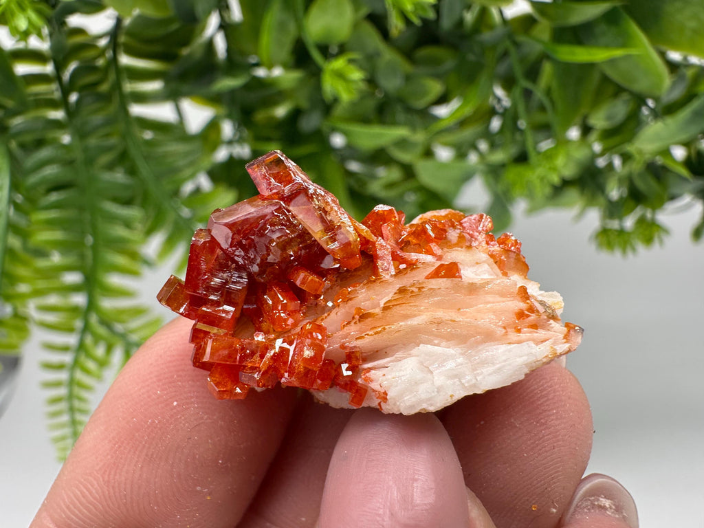 Red Vanadinite Crystal Cluster on Barite, Morocco Mineral Specimen