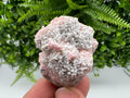Rare Rhodochrosite with Calcite, Starnica Mine, Bulgaria