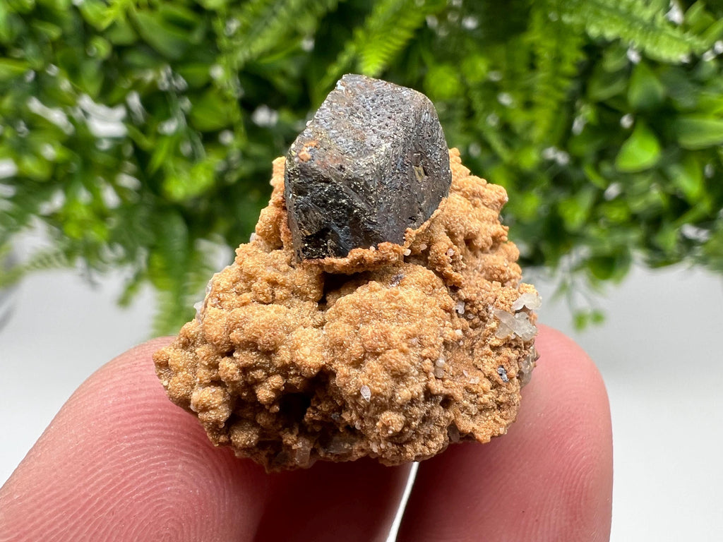 Chalcopyrite with Hematite on Siderite Specimen, Bulgaria Mineral Collection