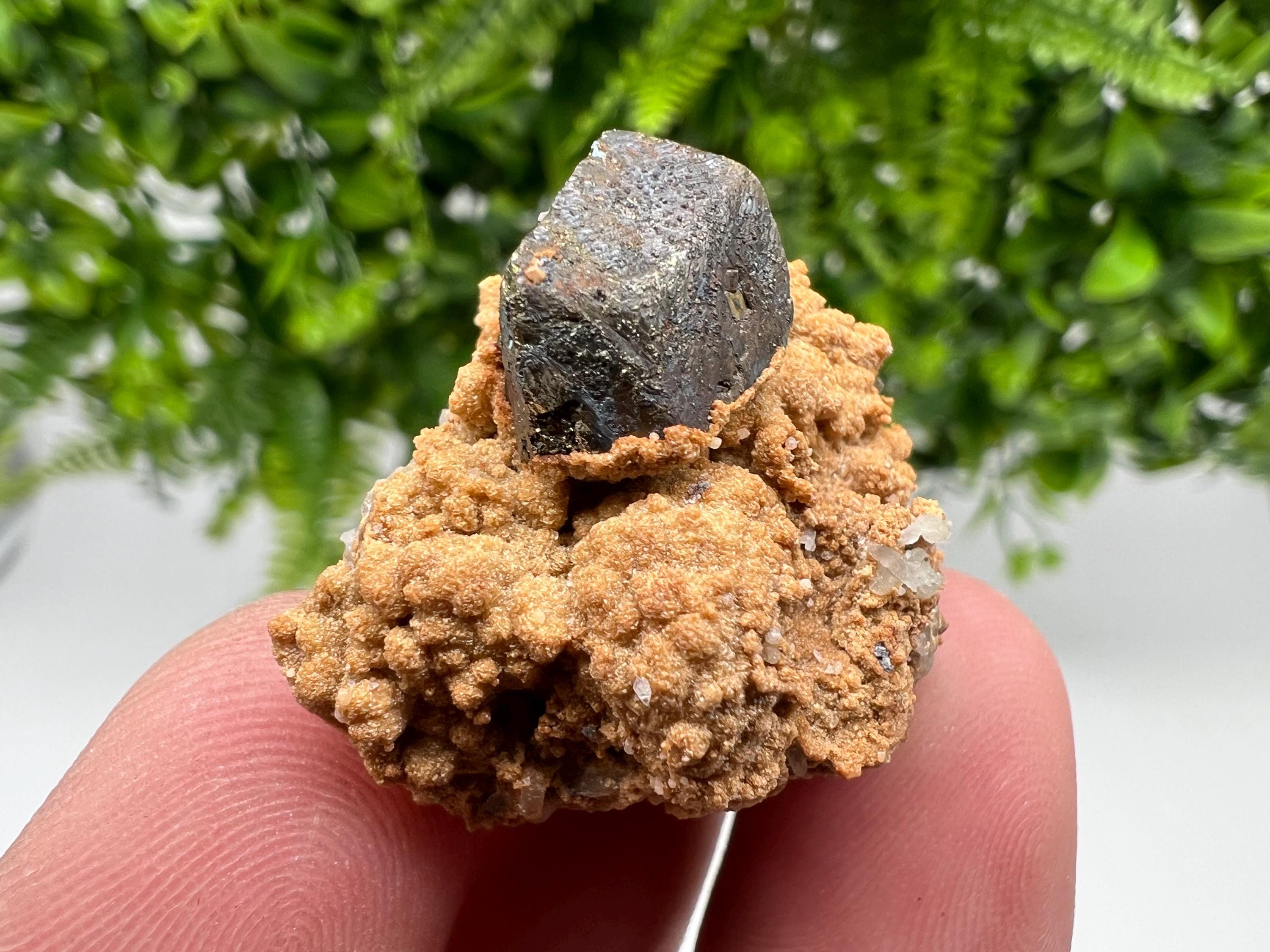 Chalcopyrite with Hematite on Siderite Specimen, Bulgaria Mineral Collection