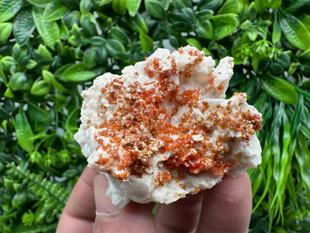 Red Vanadinite Crystal on Barite Matrix, Morocco Mineral Specimen
