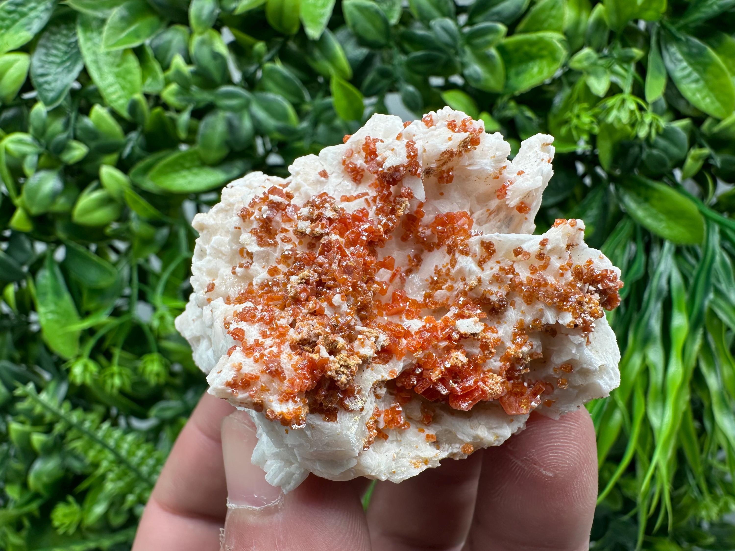Red Vanadinite Crystal on Barite Matrix, Morocco Mineral Specimen