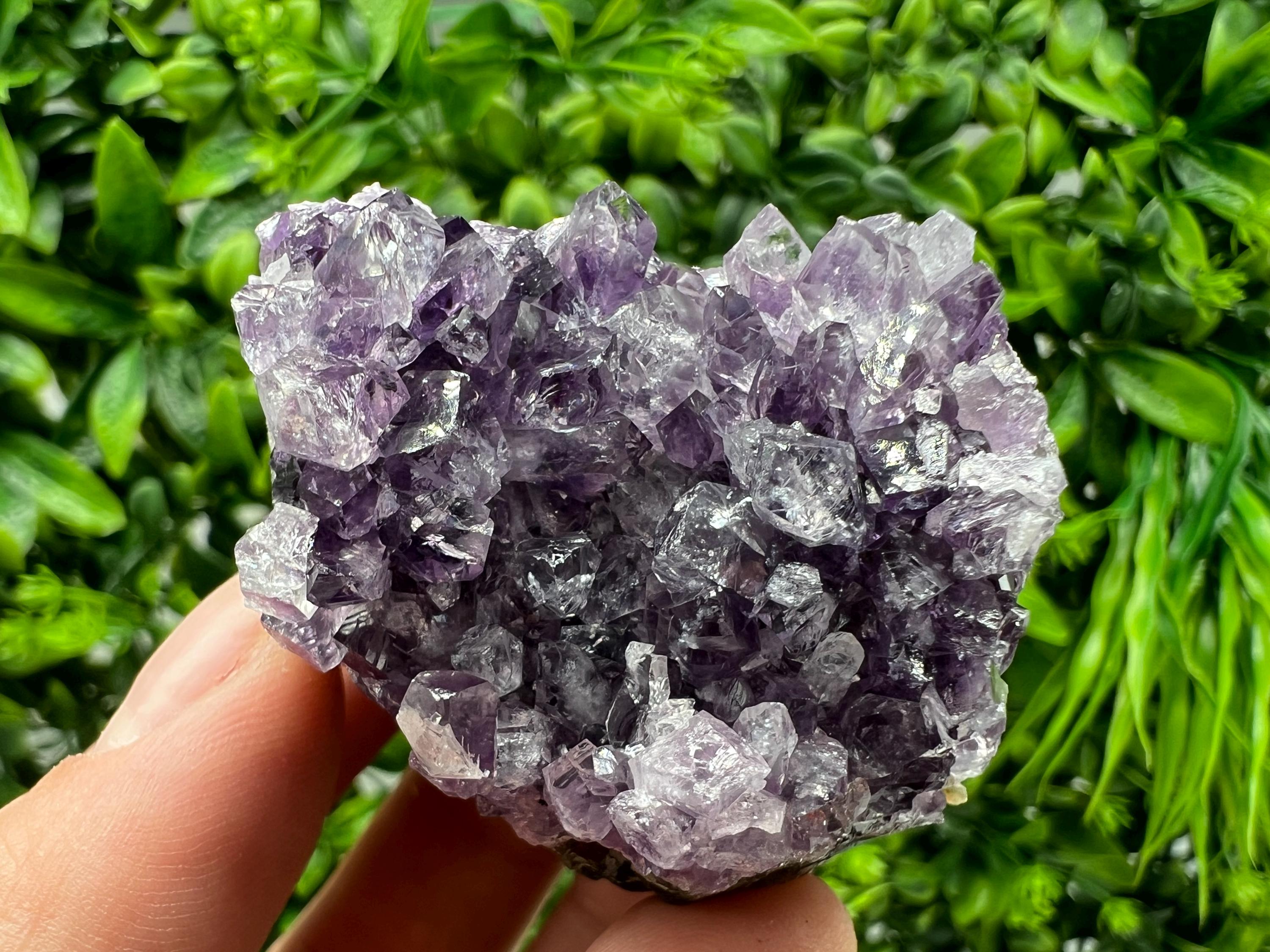 Uruguay Amethyst Crystal: Purple Quartz Phantom - Home Decor