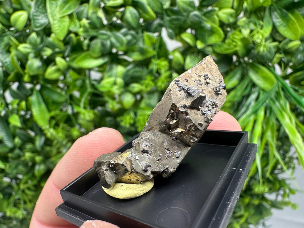 Rare Crystallized Pyrite Cluster - Borieva Mine, Bulgaria