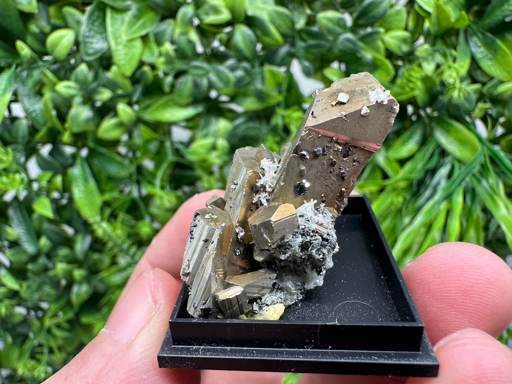 Rare Crystalline Pyrite Cluster - Borieva Mine, Bulgaria
