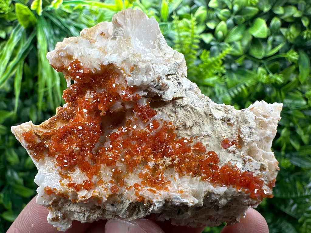Red Vanadinite Crystal Cluster on Matrix, Morocco Mineral Specimen