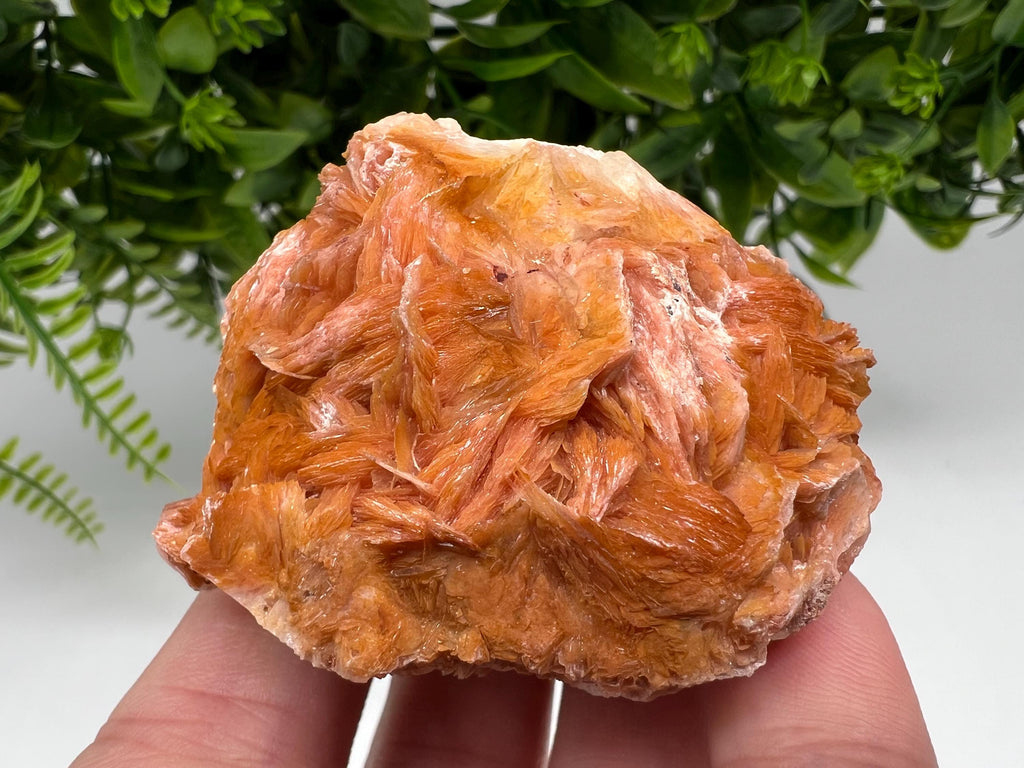 Wonderful Baryte with Cerussite on Galena from Morocco,Crystal, Mineral,Specimen,Cluster,Crystals,Barite Crystal,Cerussite Crystal,Specimen