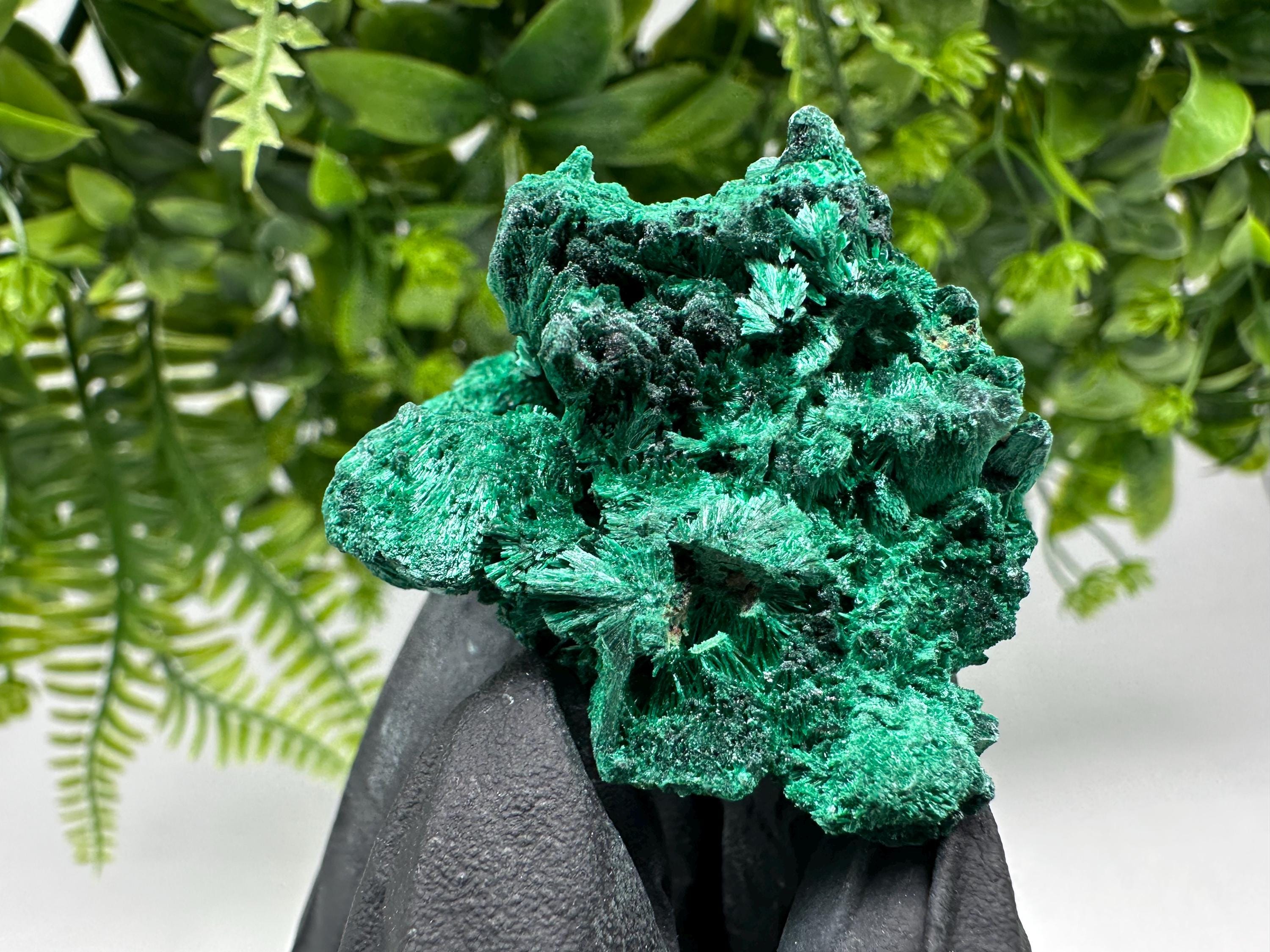 Malachite Crystal from Congo,Minerals,Crystals from Congo,Green Malachite, Malachite,Natural Malachite,Malachite Stone,Chakra, Specimens