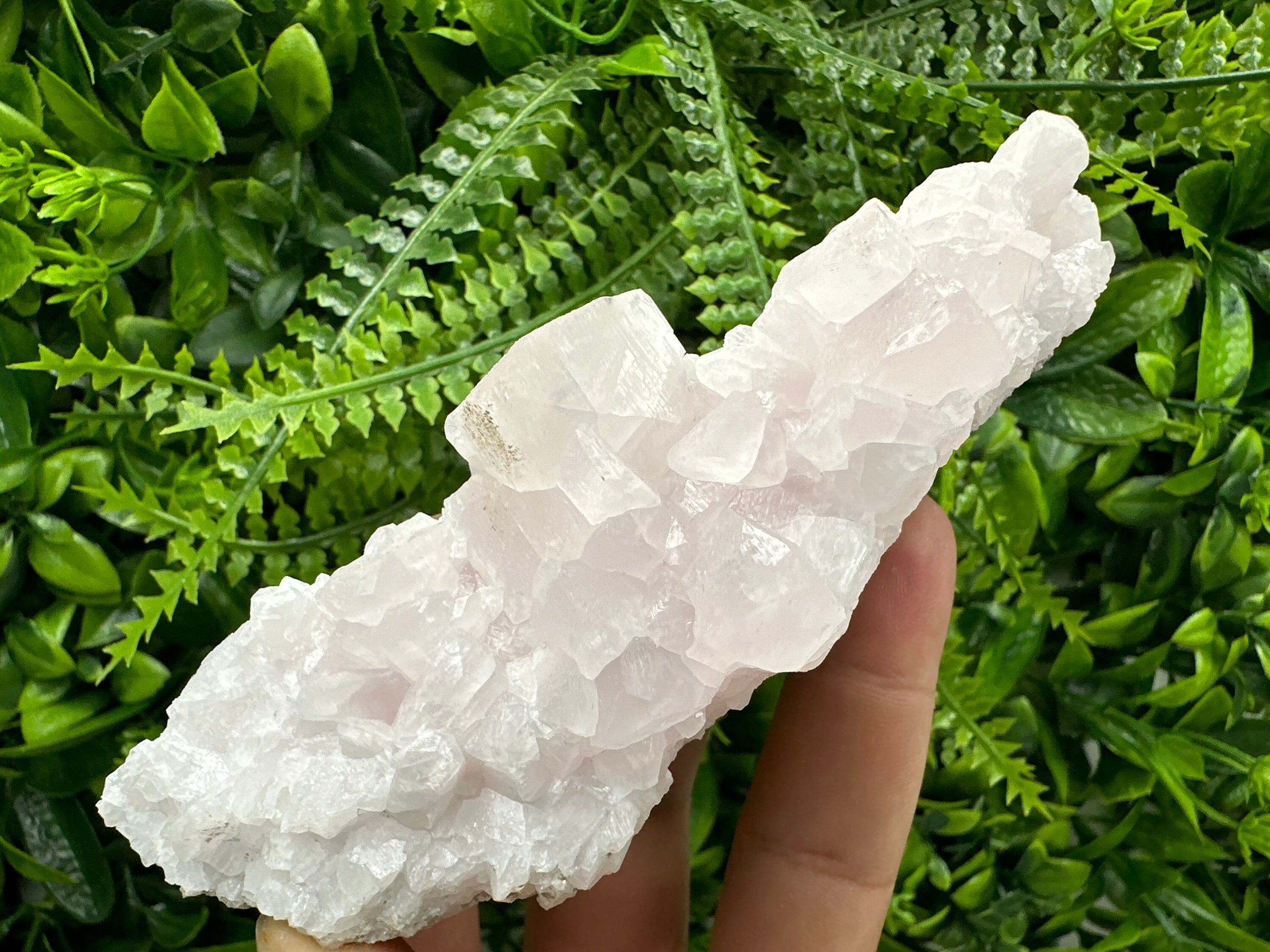 Bulgarian Calcite Specimen: Djurcovo Mine Mineral Cluster