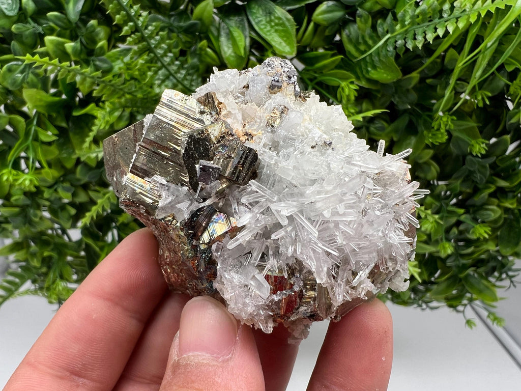 Rare Pyrite on Quartz Crystal: Borieva Mine, Bulgaria