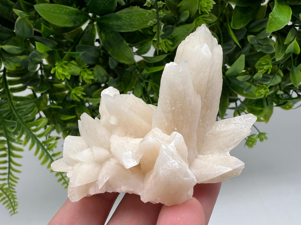 Calcite on Green Quartz: Djurcovo Mine, Bulgaria Healing Crystal