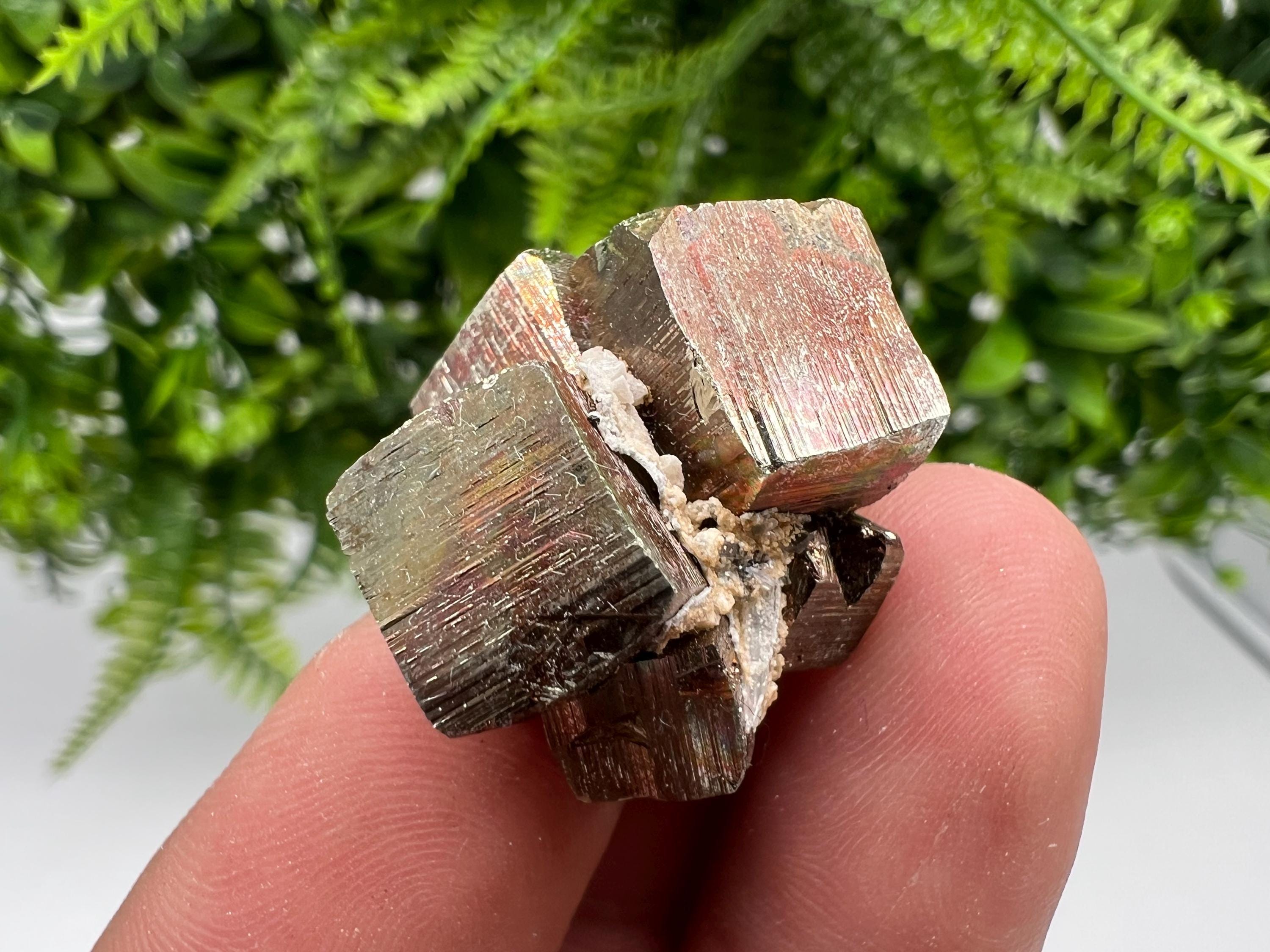 Rainbow Pyrite Hematite Cluster: Borieva Mine, Bulgaria