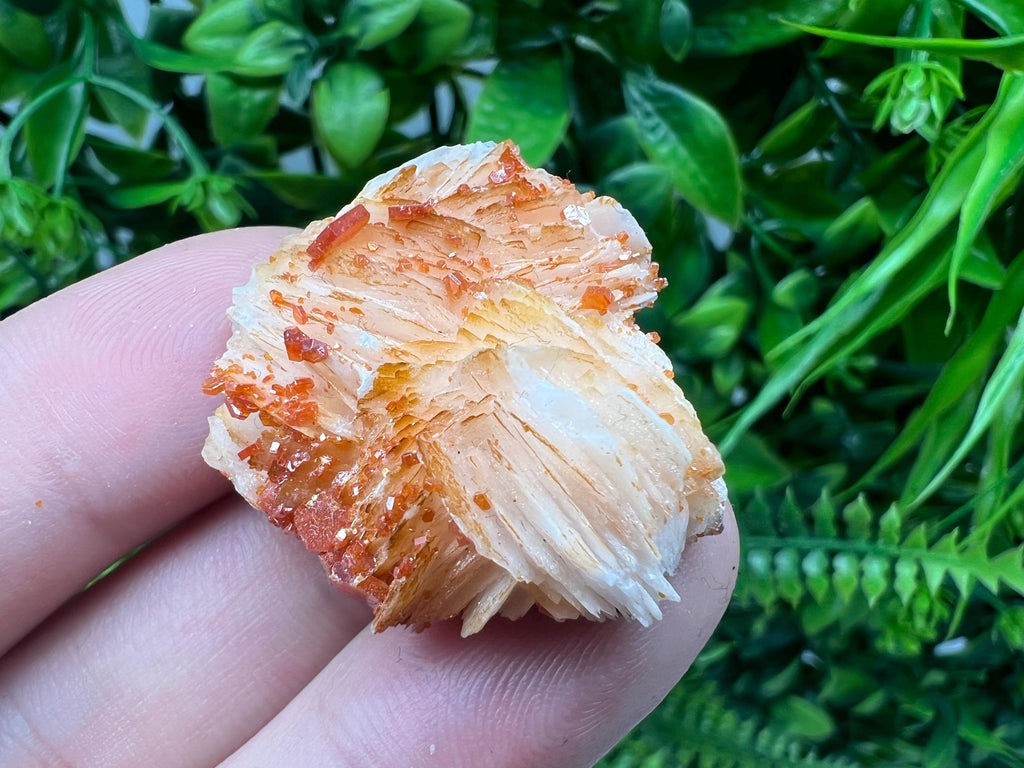 Red Vanadinite on Barite from Marocco,crystal minerals Speciment cluster Vanadinite crystal Vanadinite Geology Vanadinite cluster minerals