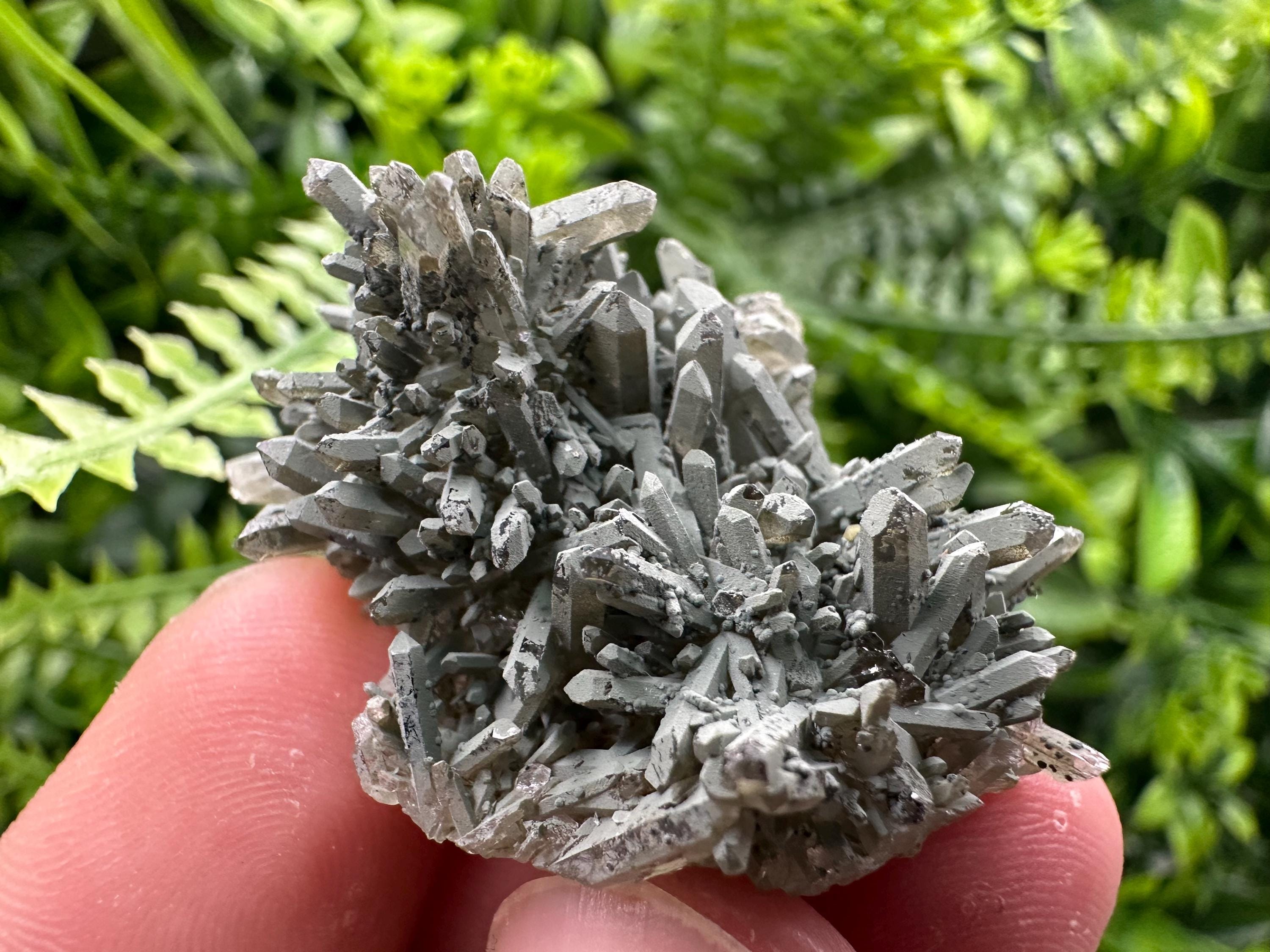 Chlorite Quartz Cluster, Rare Mineral Specimen, Bulgaria
