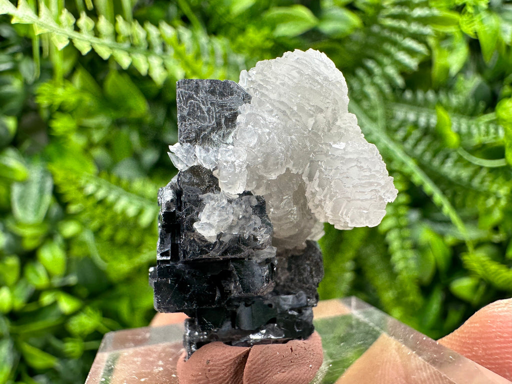 Skeletal Galena, Pyrite, and Calcite Mineral Specimen
