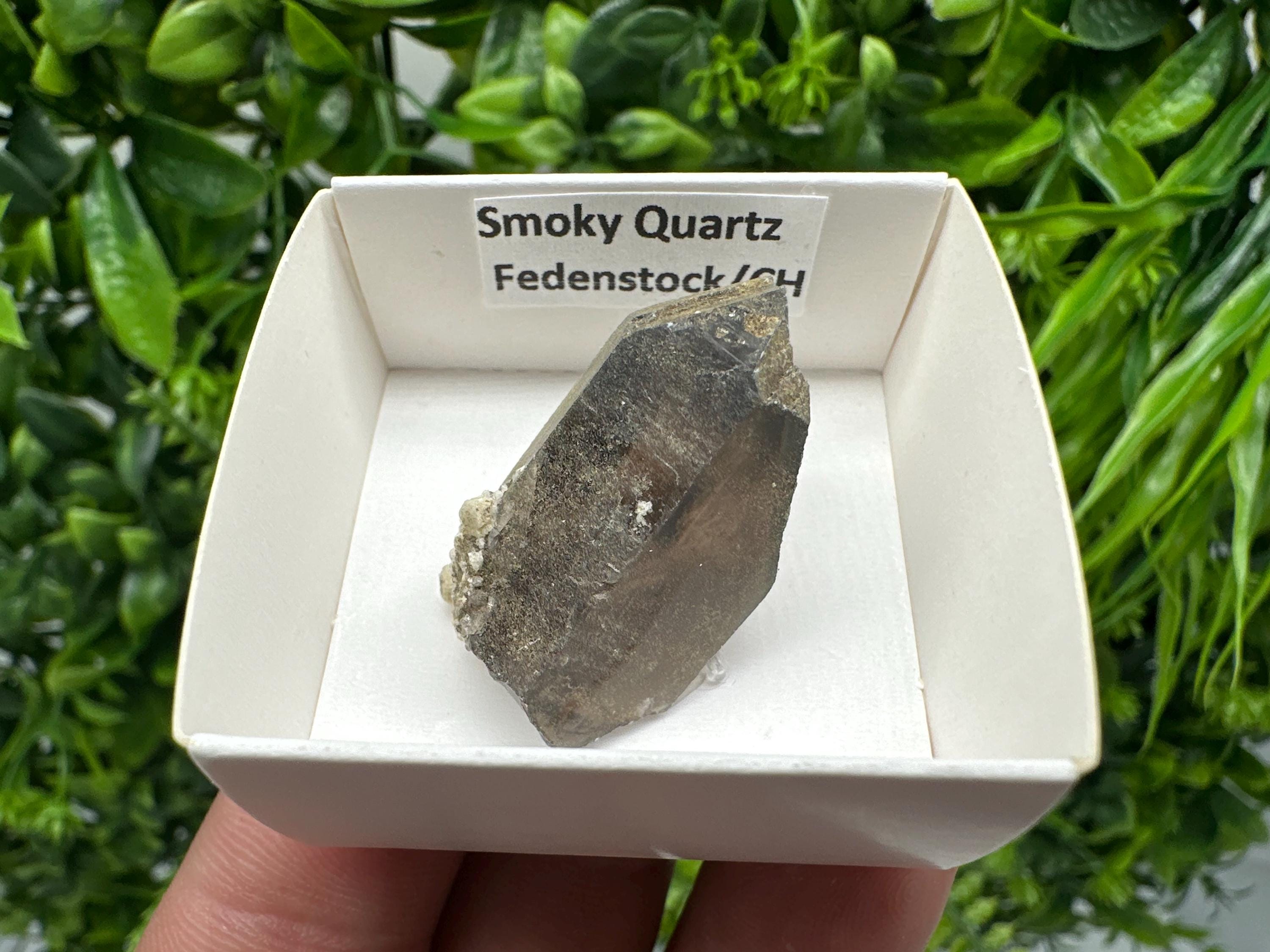 Rare Smoky Quartz Point from Fedenstock Switzerland (35mm)