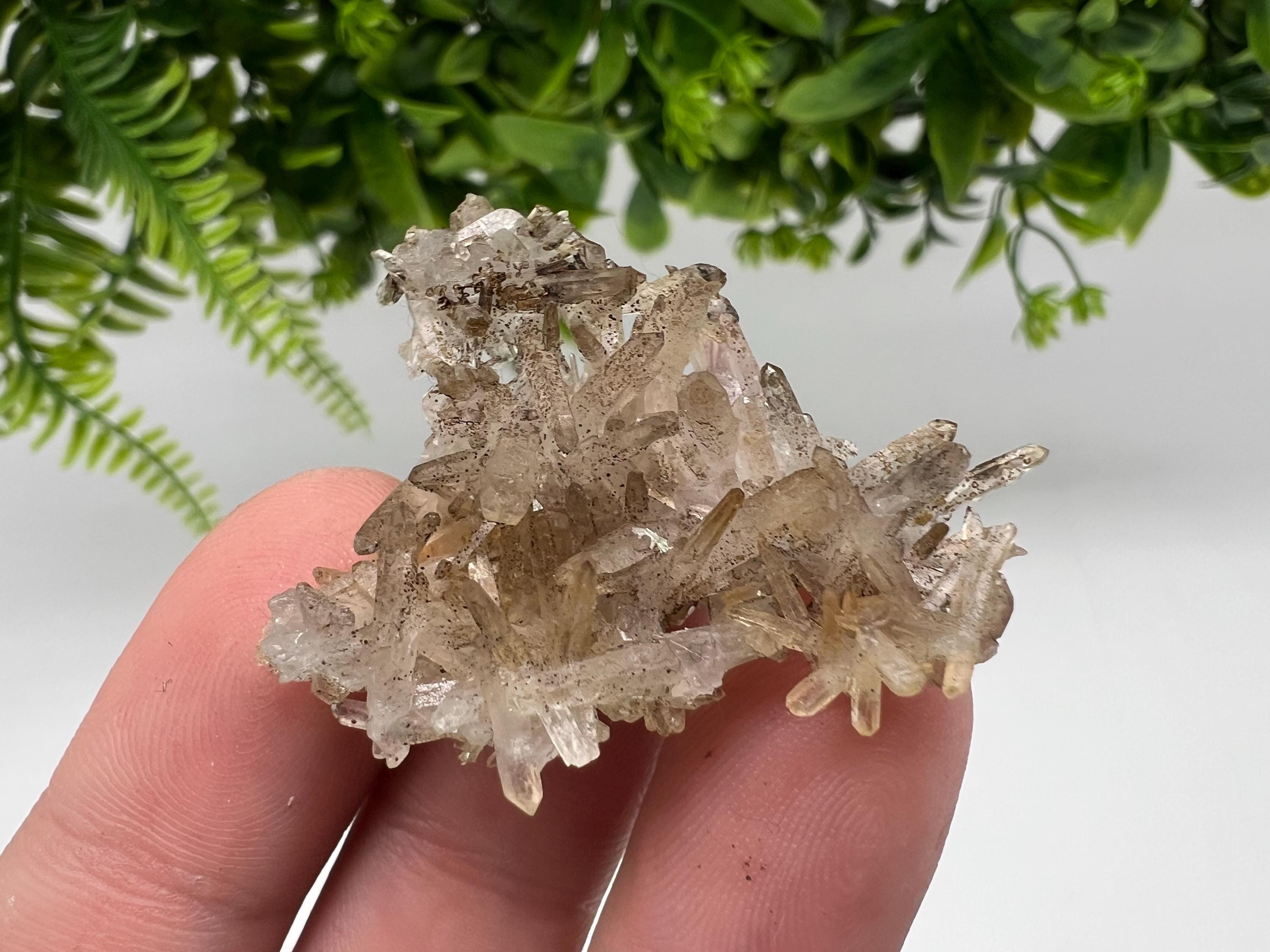 Bulgarian Quartz Mineral Specimen: Iron Oxide Limonite, 9th September Mine