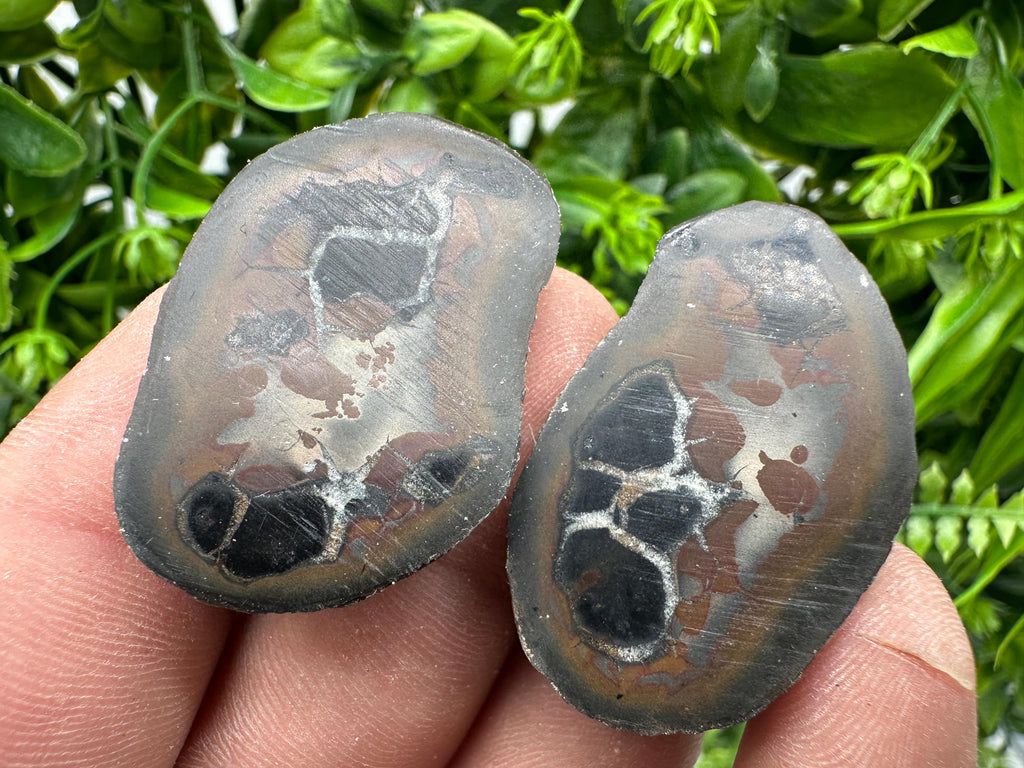 Septarian Nodule Geode Pair: Dragonstone Healing Stone