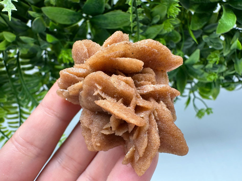 Natural Desert Rose Crystal – Root Chakra Healing Brown Selenite Stone