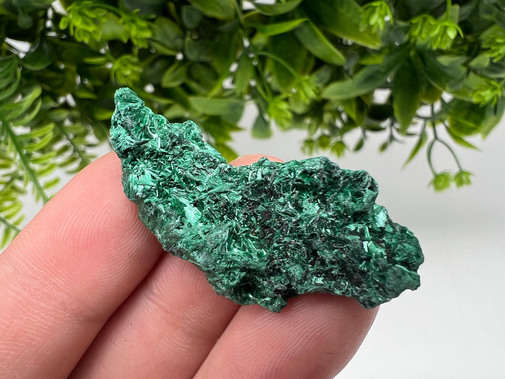 Malachite Crystal from Congo,Minerals,Crystals from Congo,Green Malachite, Malachite,Natural Malachite,Malachite Stone,Chakra, Specimens