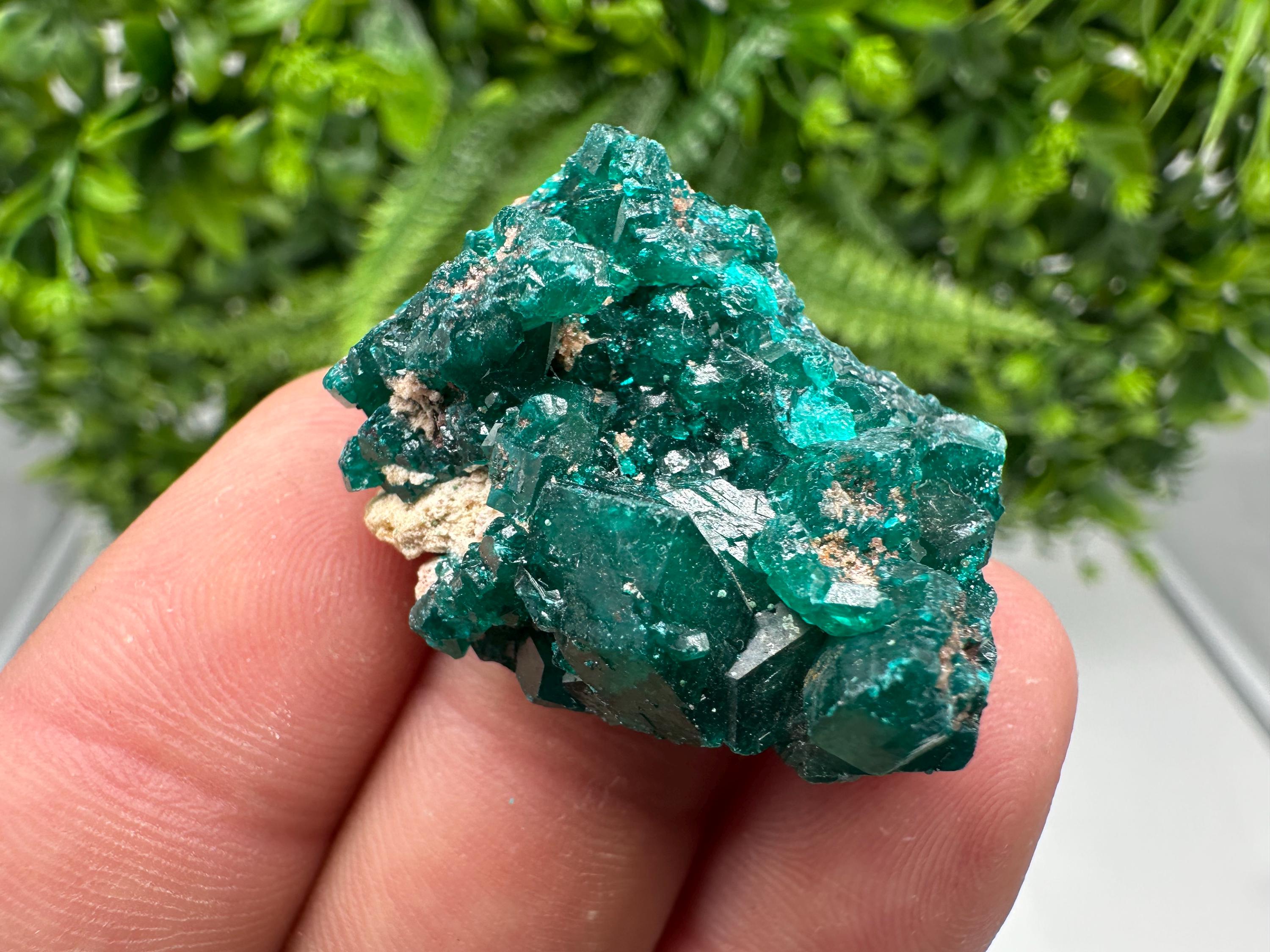 Stunning Green Dioptase from Sanda Hills,Mindouli,Pool Department,Mindouli District,Congo,green Dioptase,Dioptas Crystal,Dioptase collecting