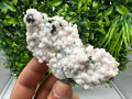 Chalcopyrite on Quartz Specimen: Krushev dol Mine, Bulgaria