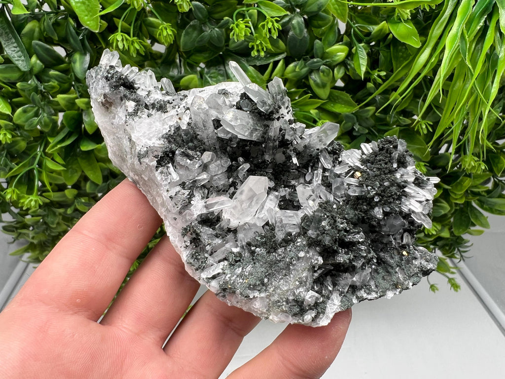 Chlorite Quartz Crystal Cluster - Borieva Mine, Bulgaria